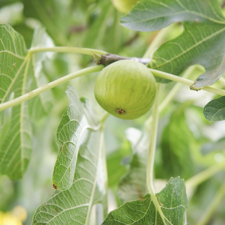 0be8d789-8a6b-42e9-8591-50dd4c15cacd 2