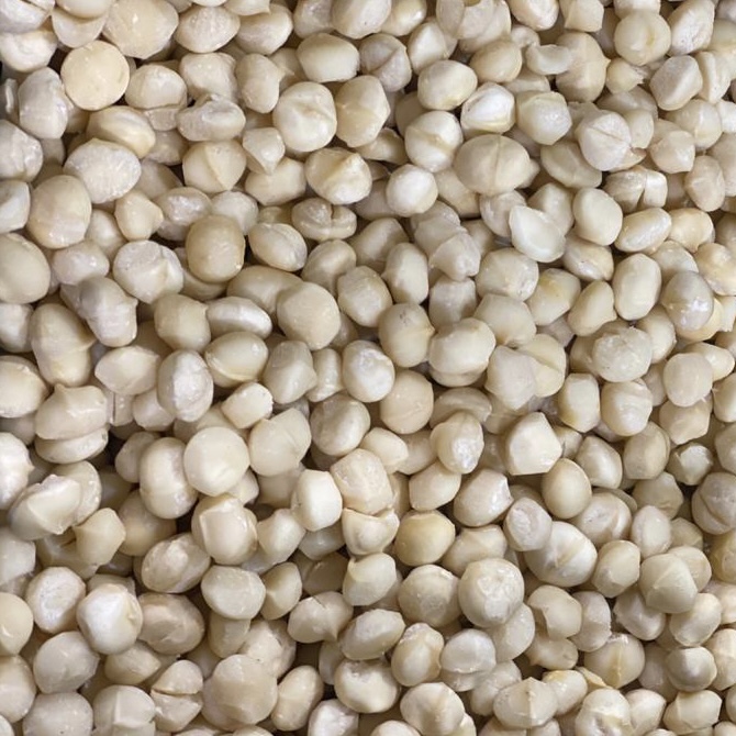 1aea0d7e-431d-44d5-9602-df1c529b74ae 2