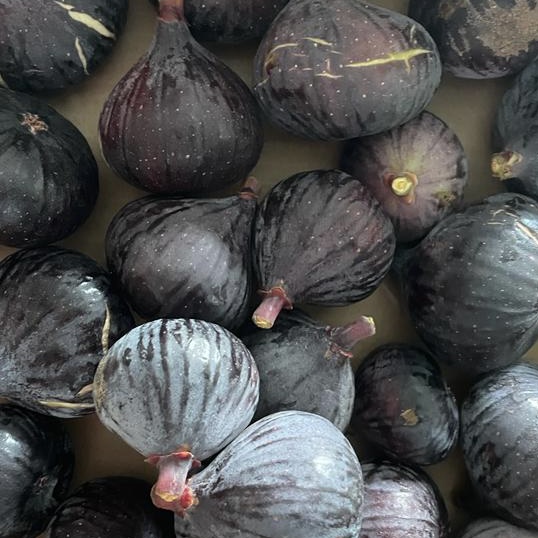 1cae99d7-0eea-4c2e-8ce0-265375880246 2