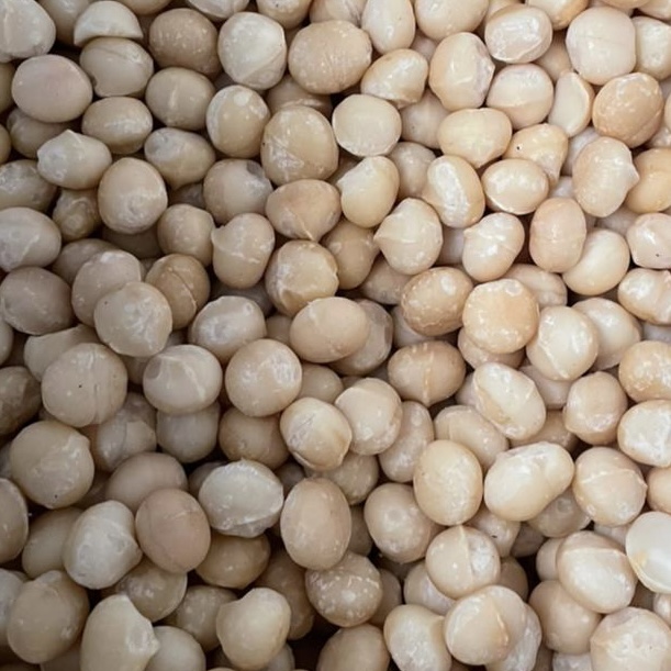 21290187-53ff-44e2-aa6a-60e5ce46fa78 2