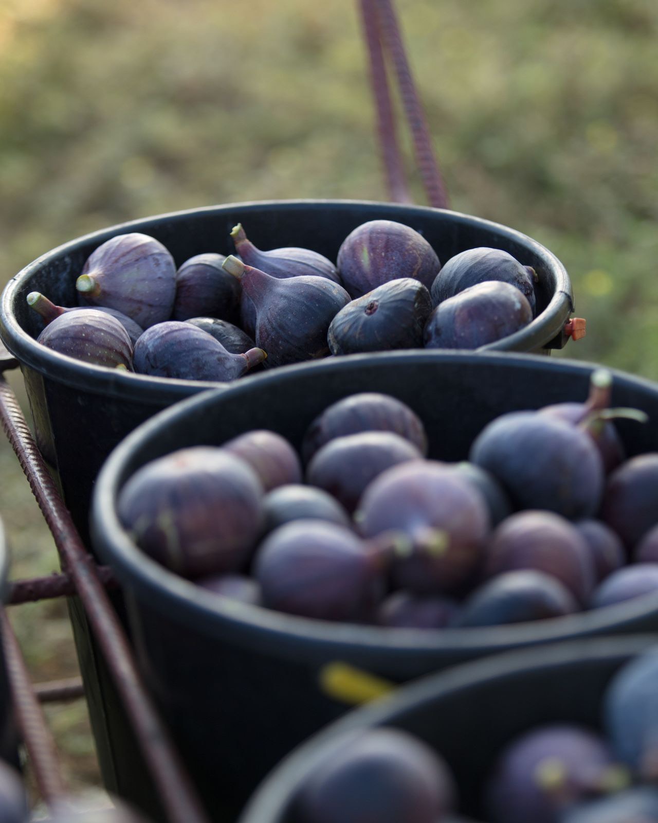 336a0e11-d064-4b4c-b45d-84be4832982e