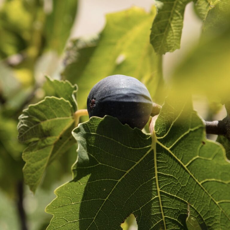 713983a7-c764-4e5f-8e98-134a76ed167a 2