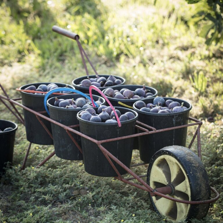 749db13d-5b14-4271-a1fe-4bf0962da804 2