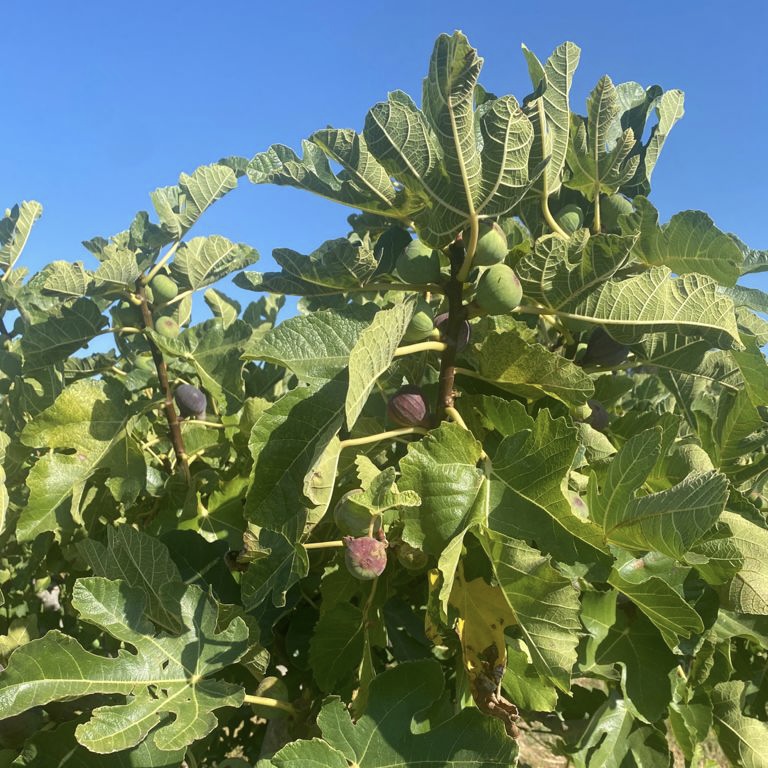 bf313f96-f23d-4487-9651-582cad2524d0 2