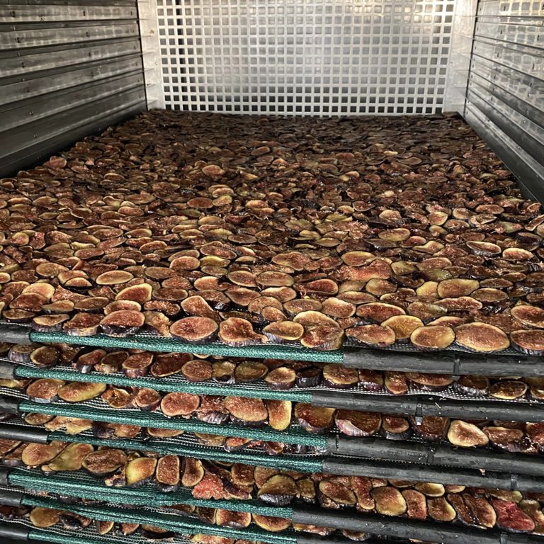 c1fbe14b-4810-4d13-a6df-b219305554ba 2