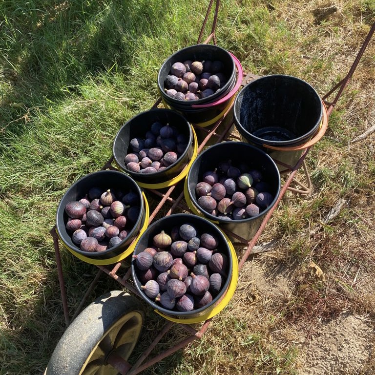 d275106f-3ba8-4441-bc6d-faa26fdf5f2c 2