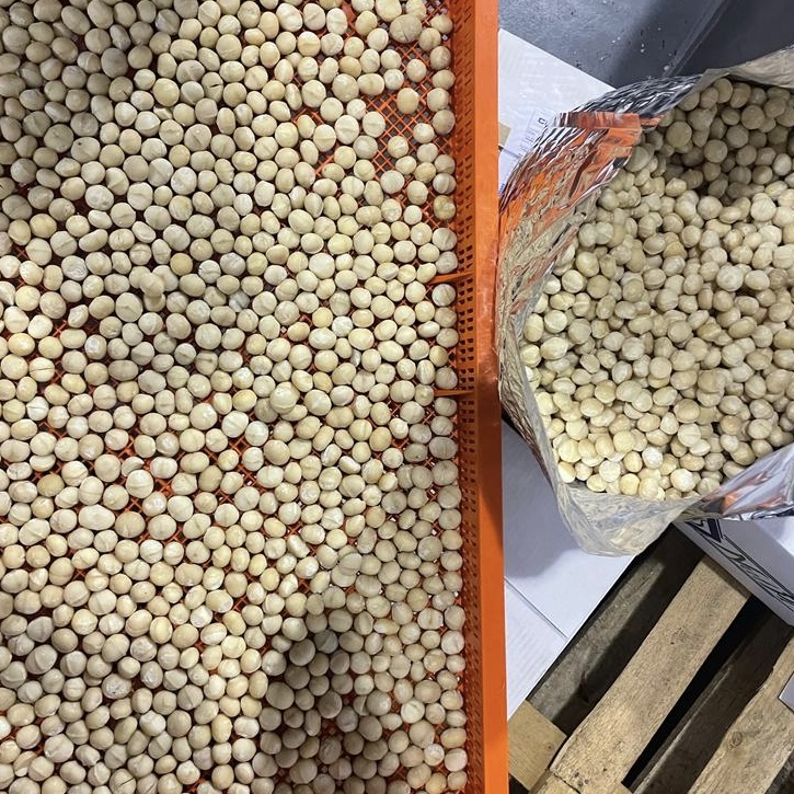 e0294b2d-dad8-40a5-9d64-47ebdbe69d5b 2